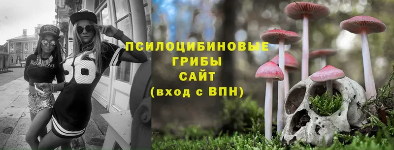 Псилоцибиновые грибы Magic Shrooms  Александров 